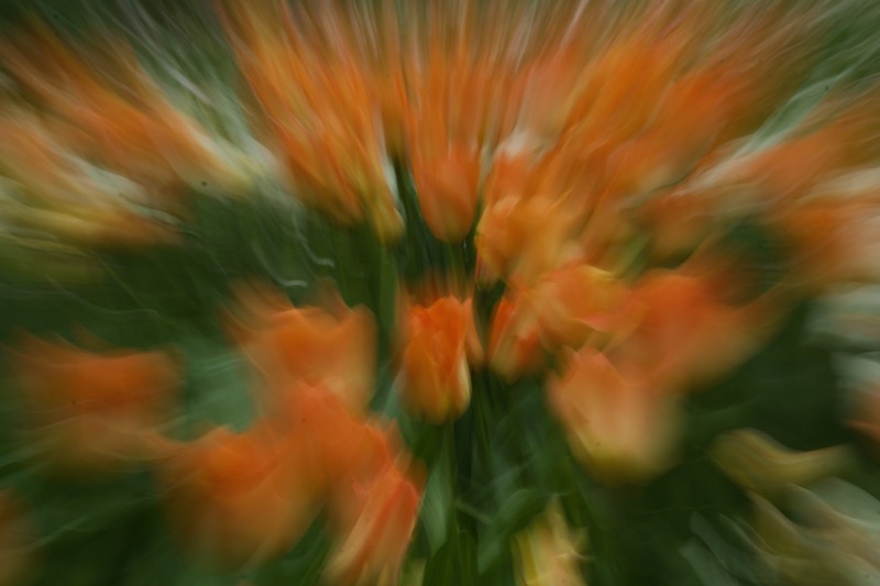 DSC04367.jpeg