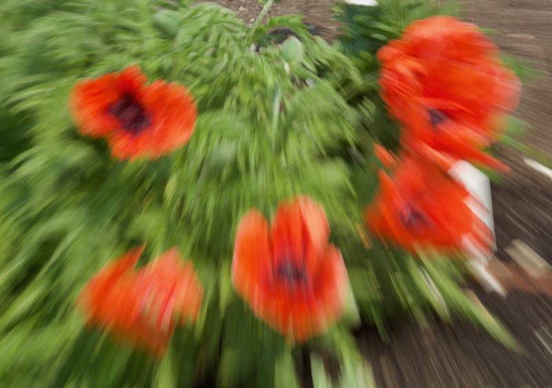 DSC04552.jpeg