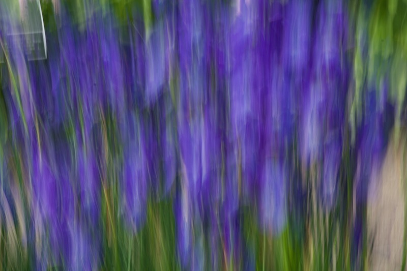 DSC04564.jpeg