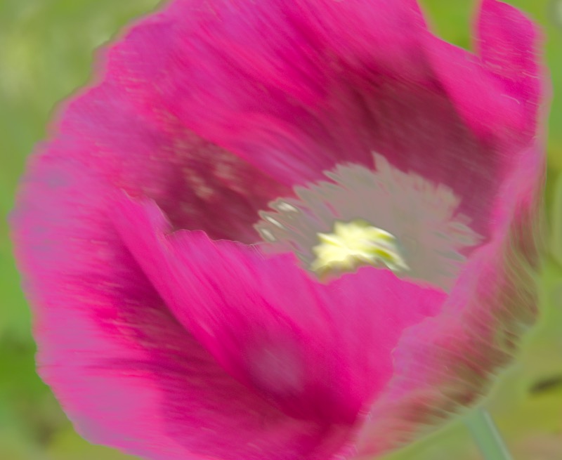 DSC05019.jpeg