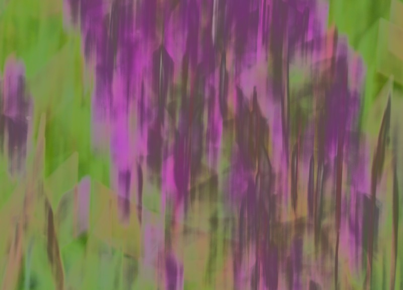 DSC05057.jpeg