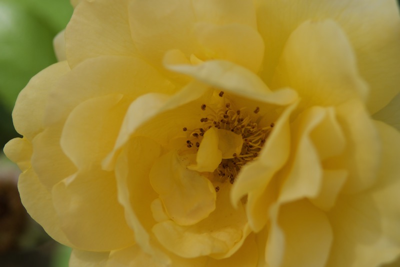 DSC05175.jpeg