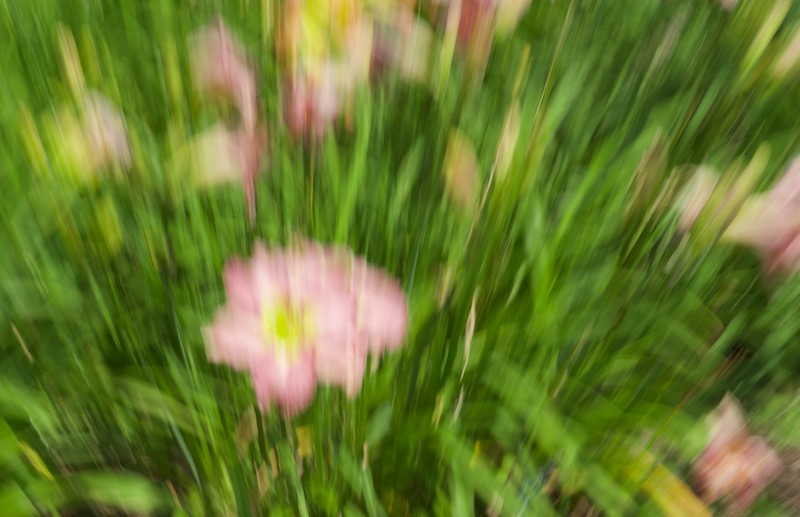 DSC05266.jpeg