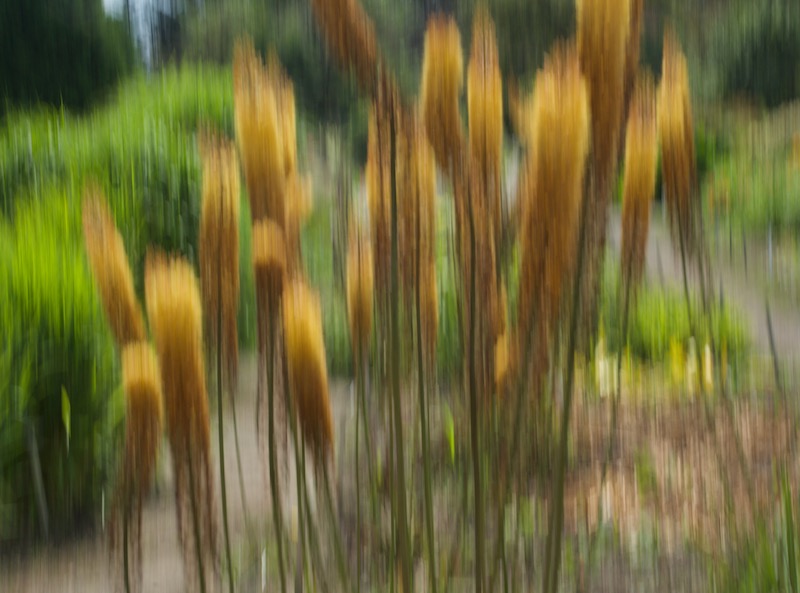 DSC05292.jpeg