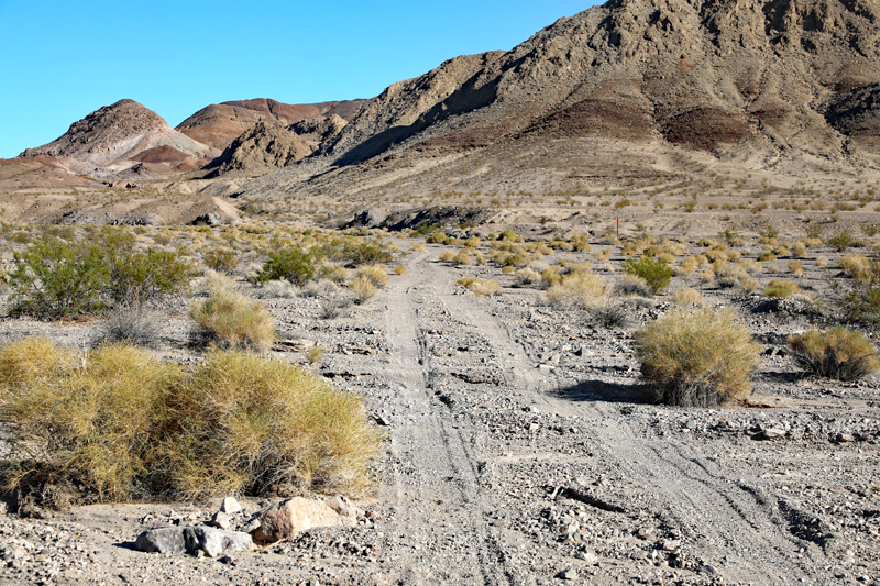 Ibex Road