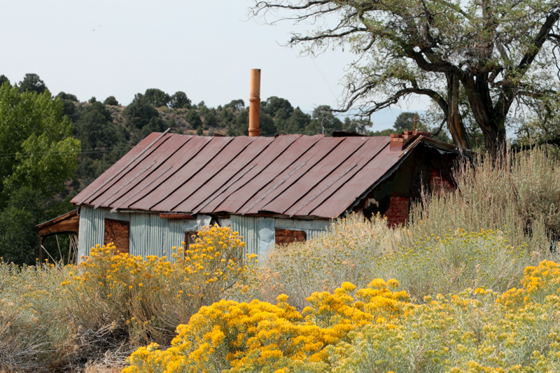Austin tin shack