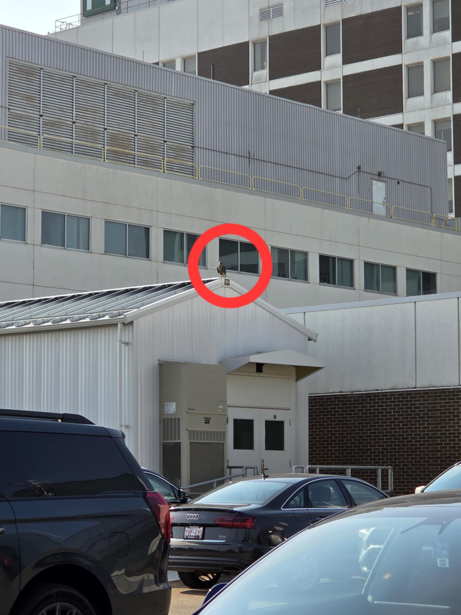 Peregrine Mis shed parking lot final launch pad 25.07.17