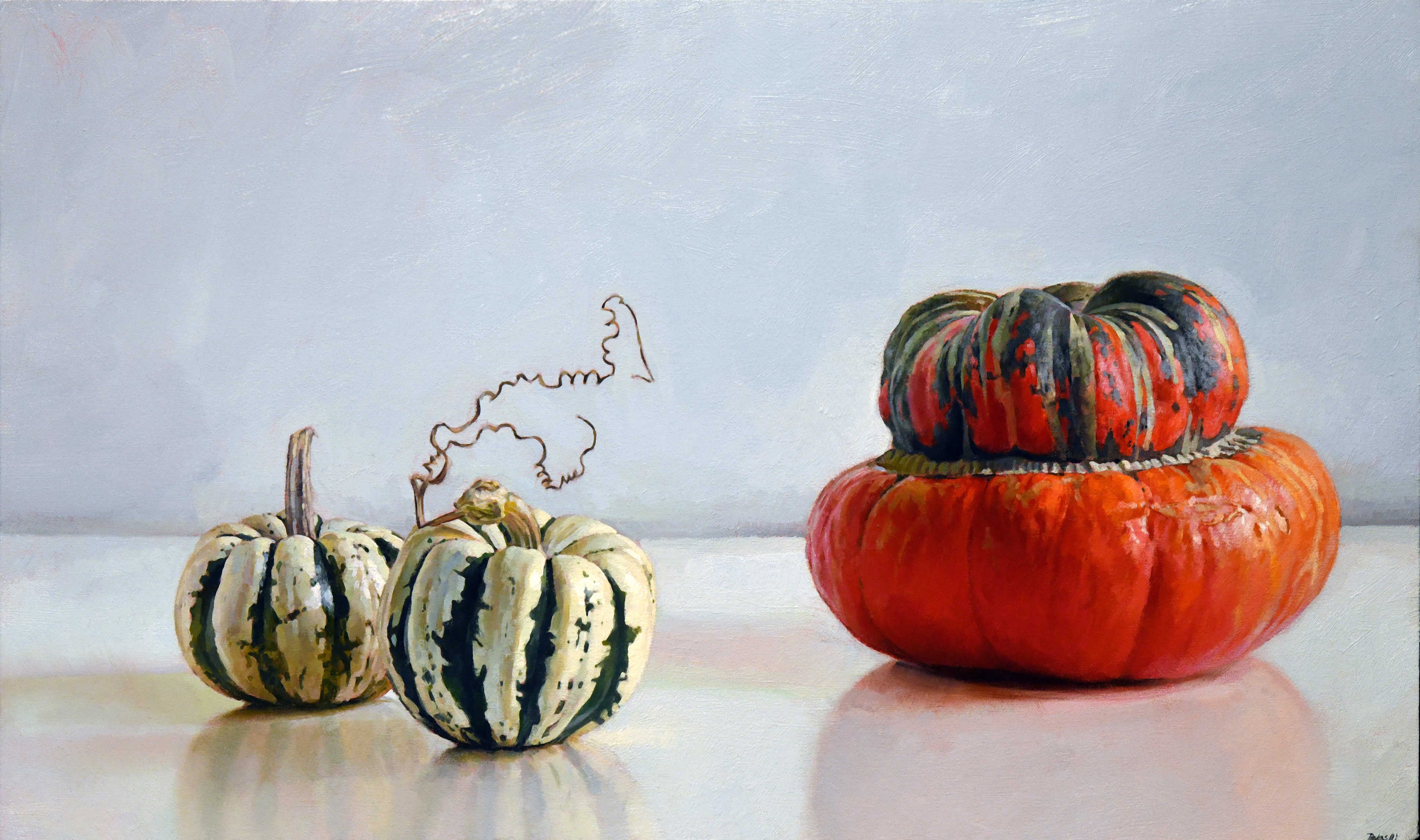 Turban Squash 16 x 27