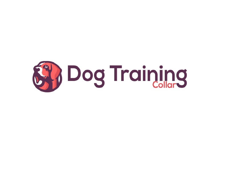 My Dog Training Collar