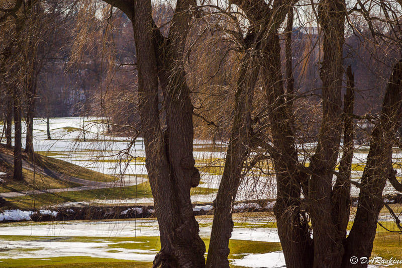 Snow on the Fairway