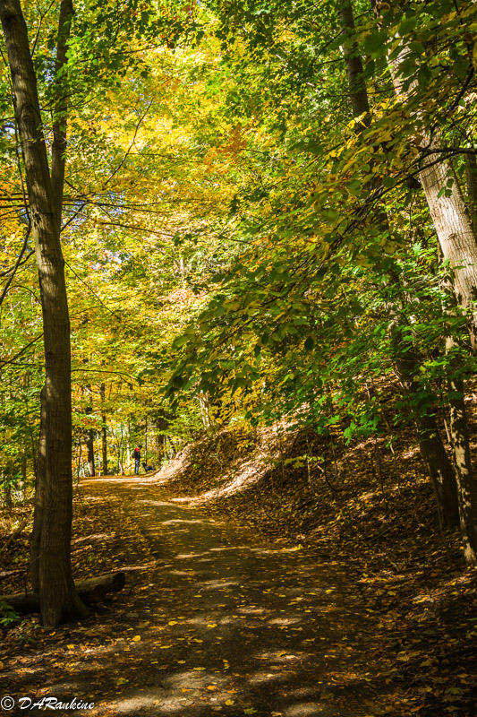 Valley Long Trail III