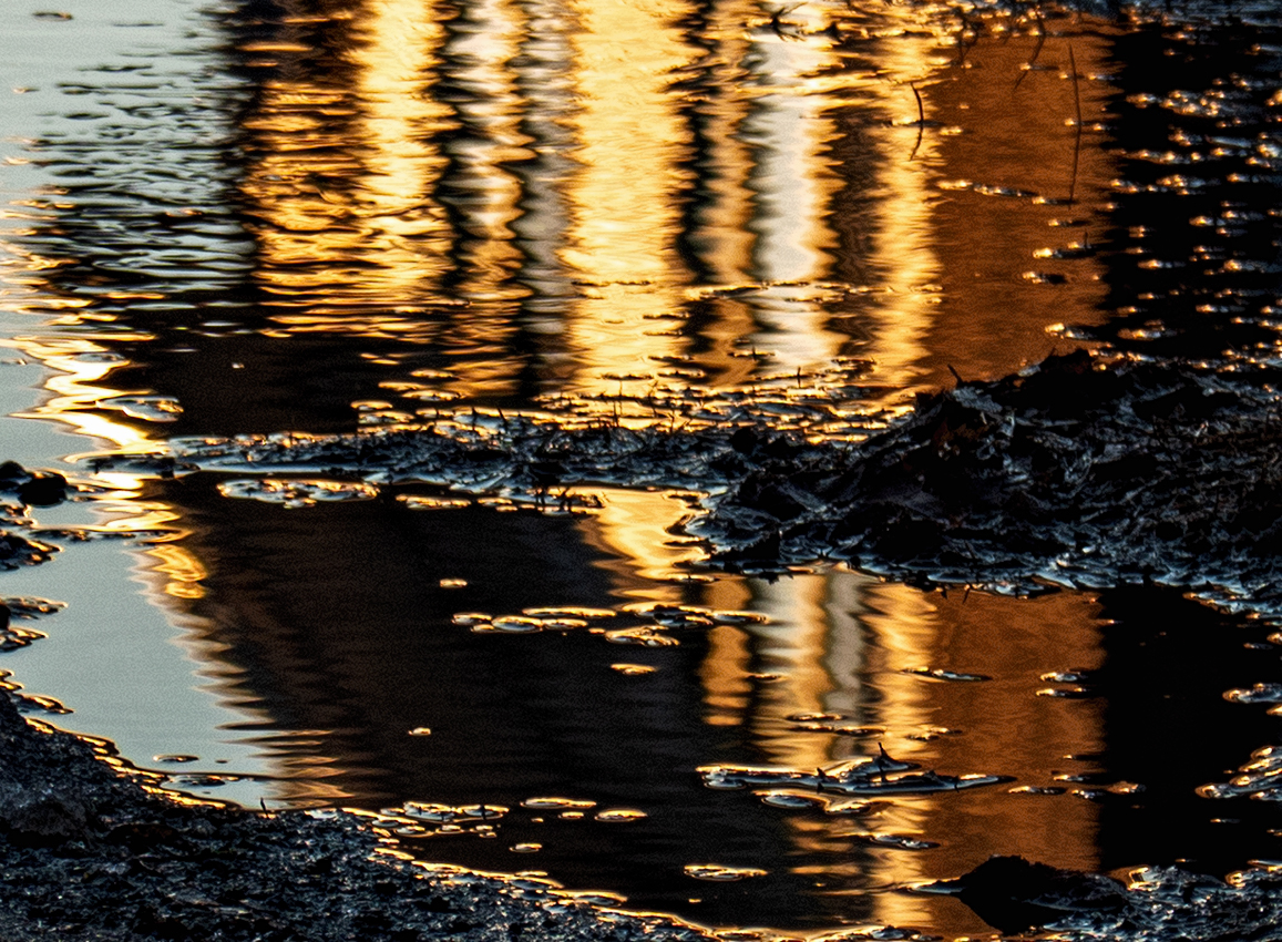 reflections in a puddle in a driveway