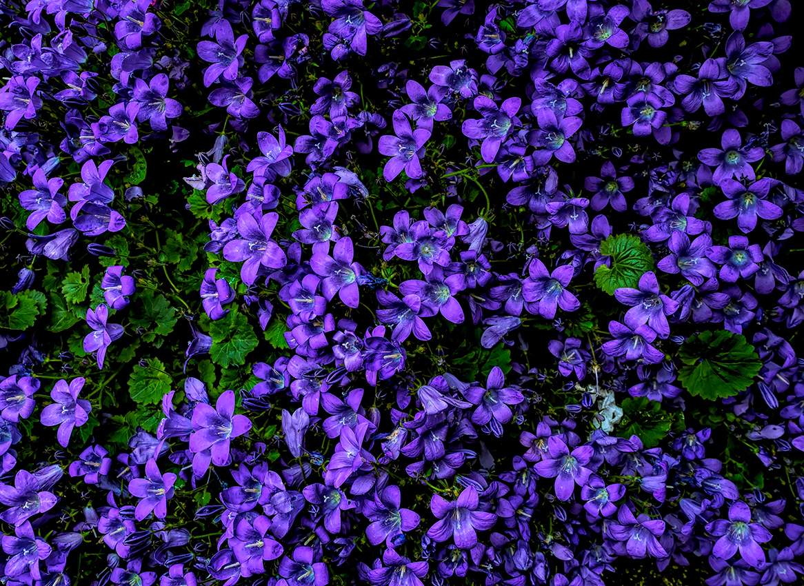 wall of color