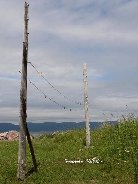 Gaspesie_2016_DSC_4044_site.jpg