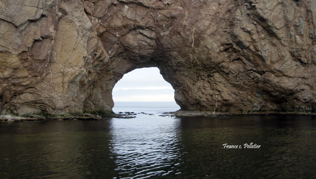 Gaspesie_2012_DSC1709_site.jpg