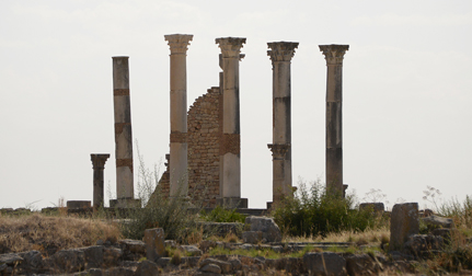 Volubilis Site_DSC_0122.jpg