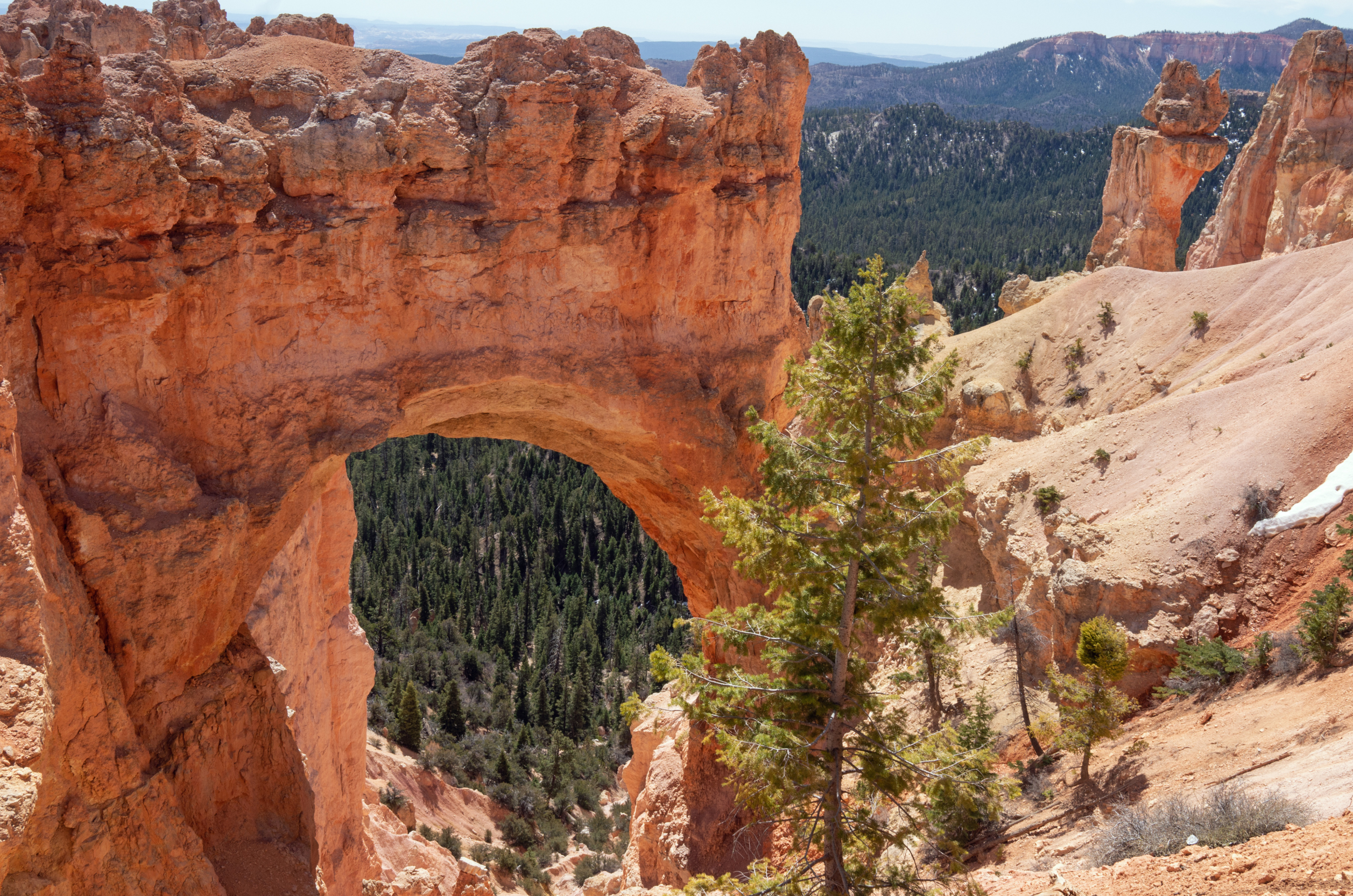 Agua Canyon Lookout