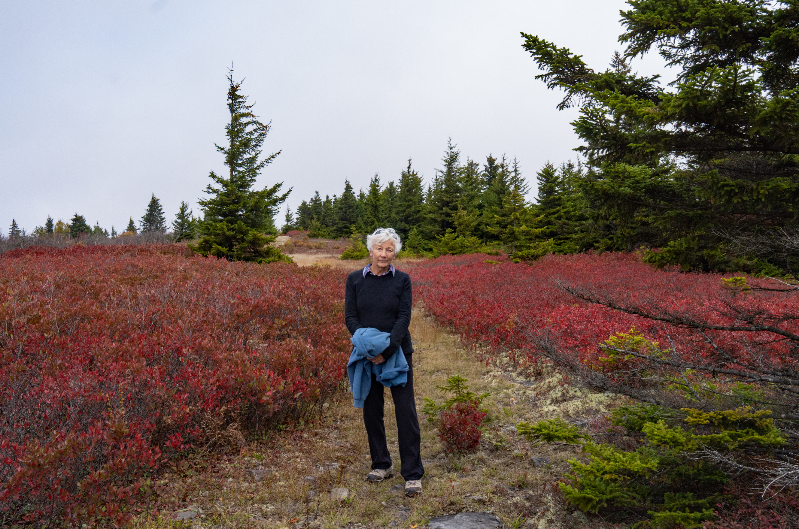 Carol on Cabin Mountain