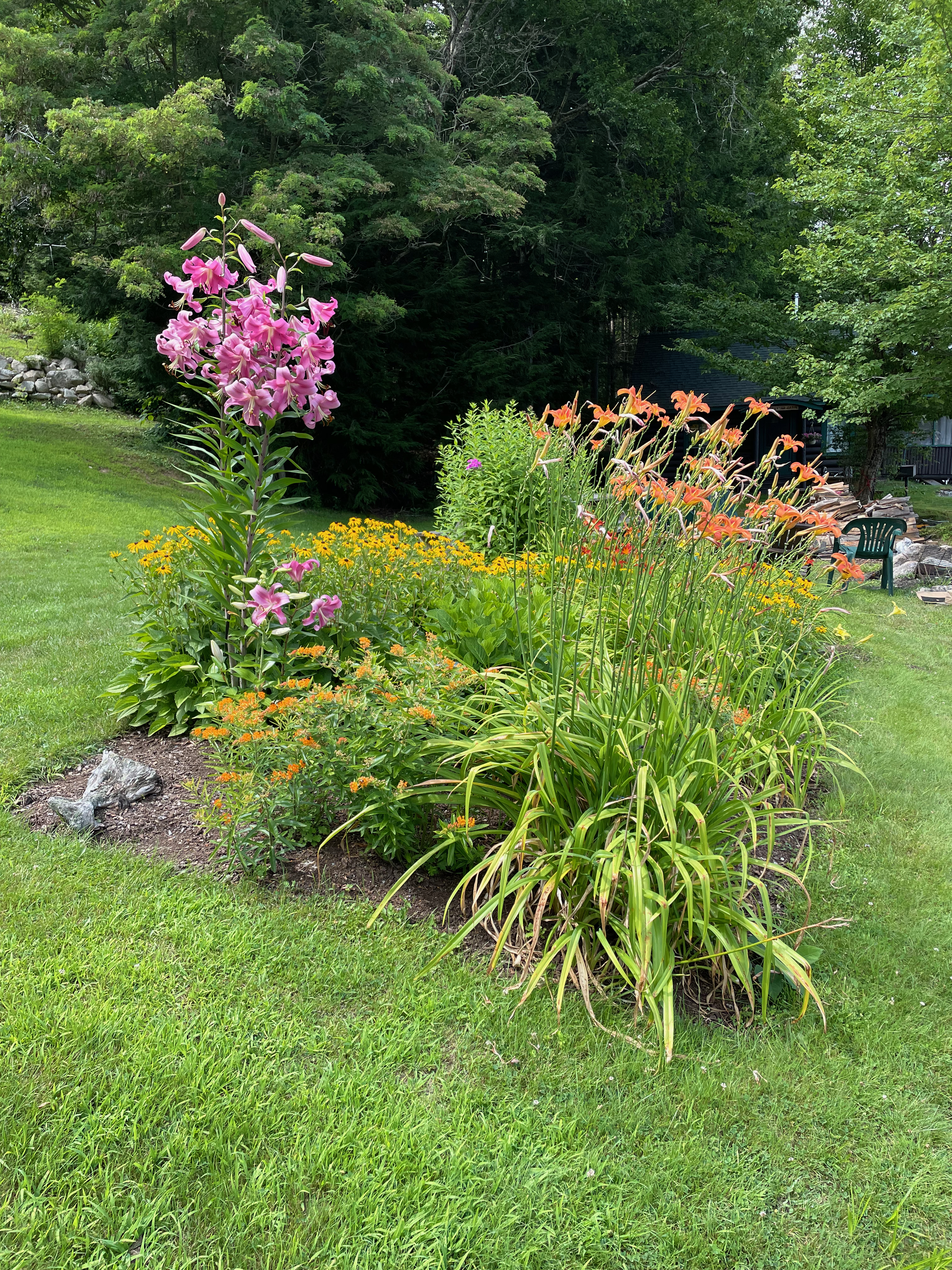 TBD Lilies
