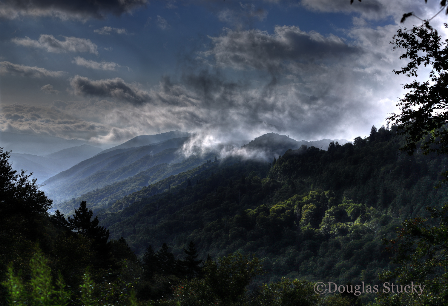 Smoky Mountain Mist