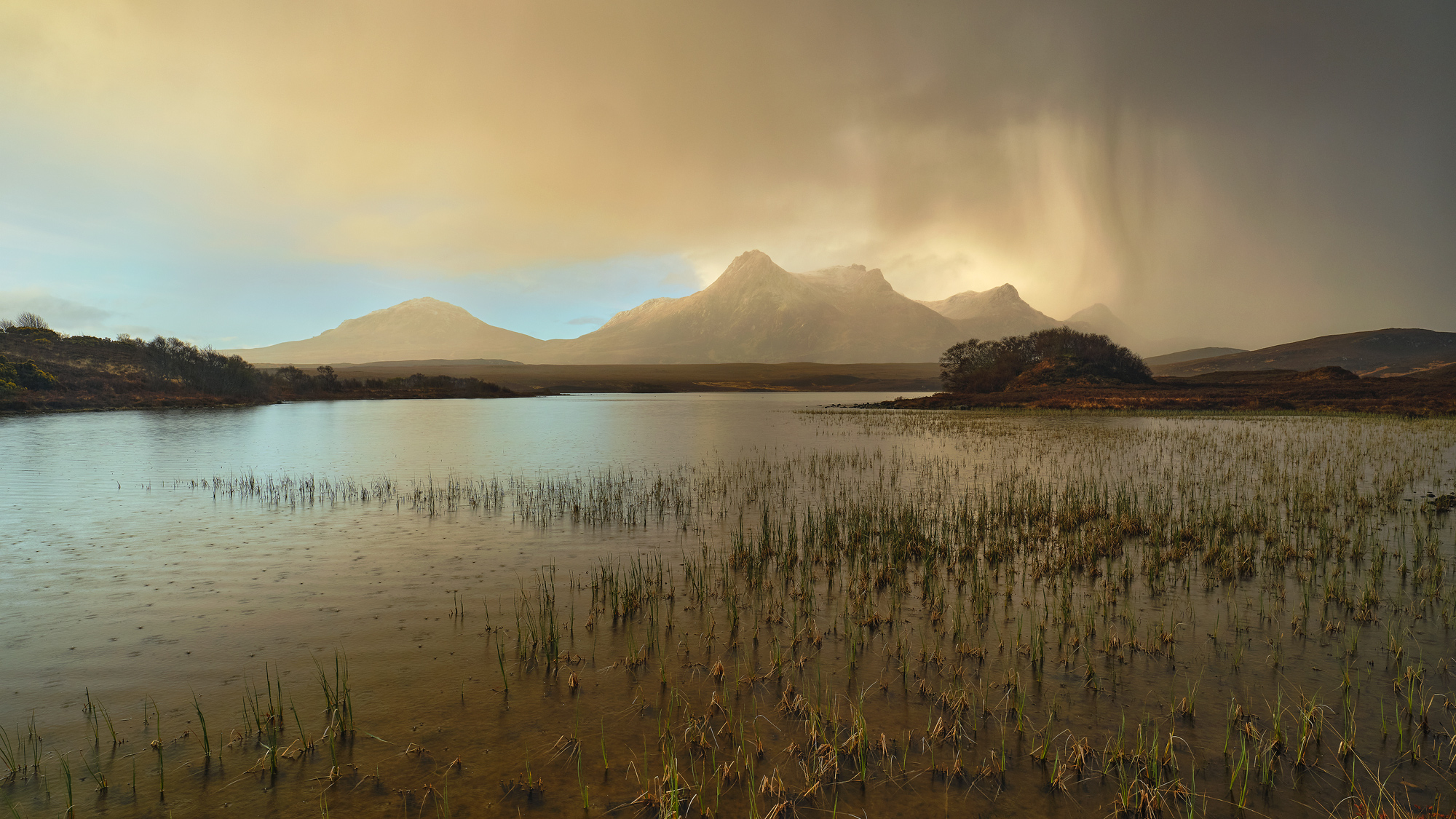 Sublime Ben Loyal