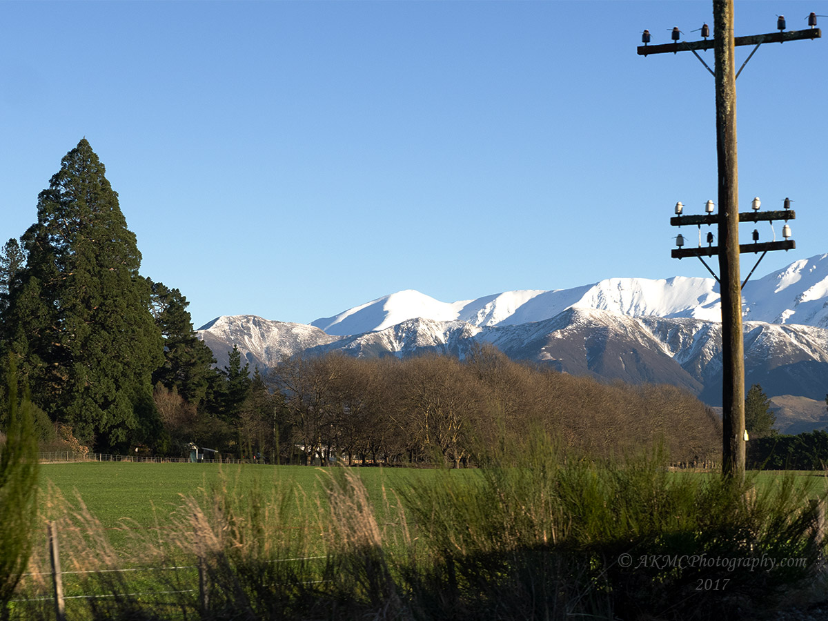 170725_091739_1290 The Mountains Again, In Blue This Time (Tue 25 Jul 17)