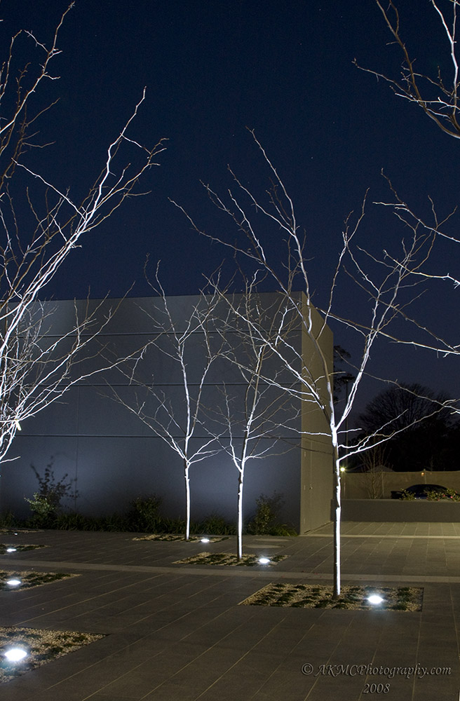 080705_174656_2250 Ghost Trees 1 (Sat 05 Jul 08)