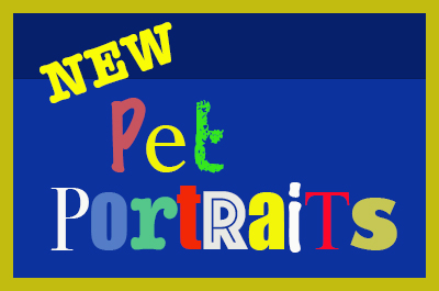 PET PORTRAITS