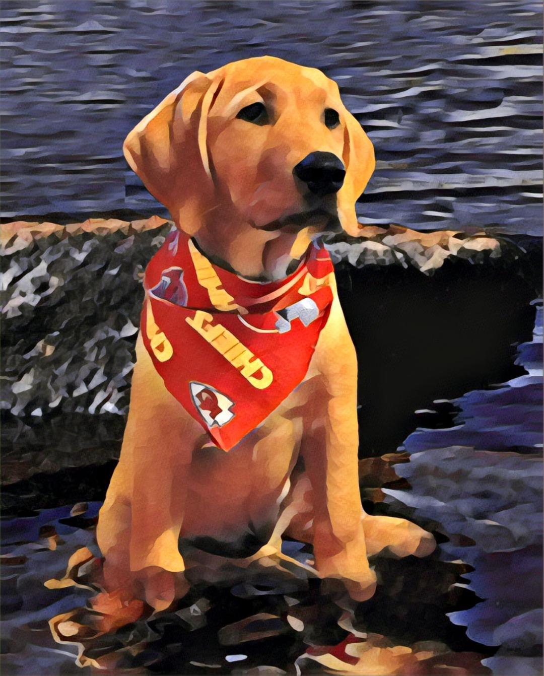 Minnie Sitting in the Water