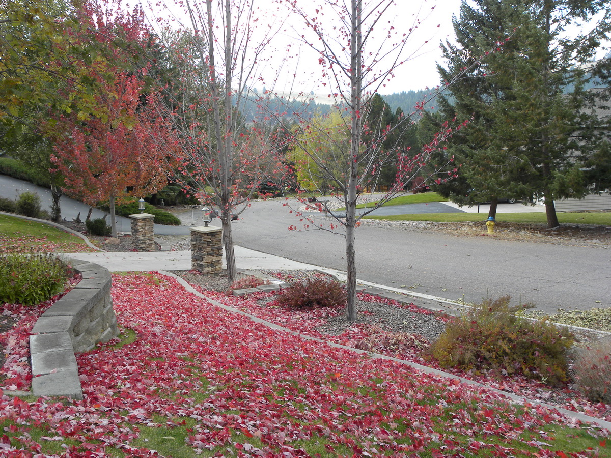 DSCN2810_resize.JPG