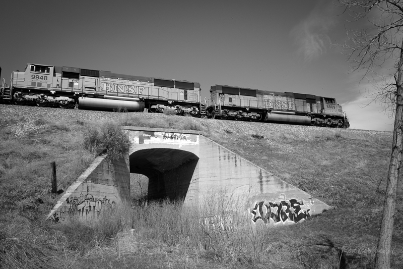 R0001415.jpg