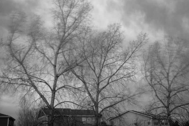 L1030091.jpg
