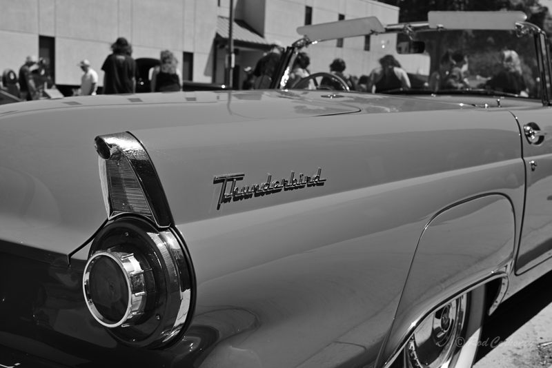 DSC_1632.jpg