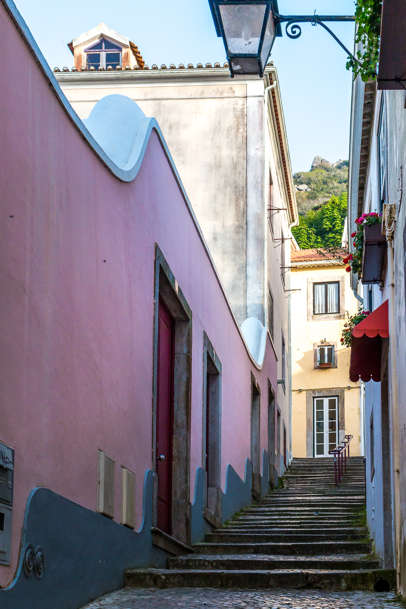 The Pink Wall