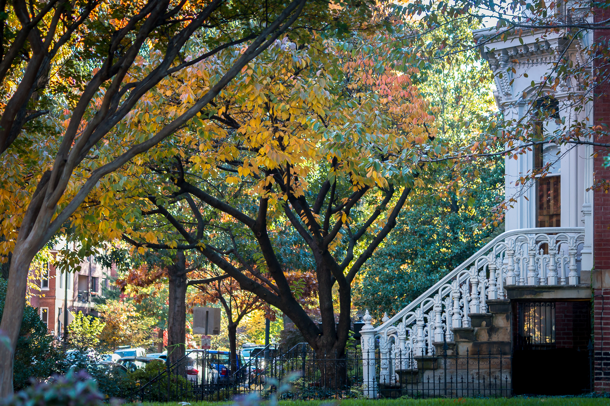 Lovely Old Homes and Pretty Fall Colors