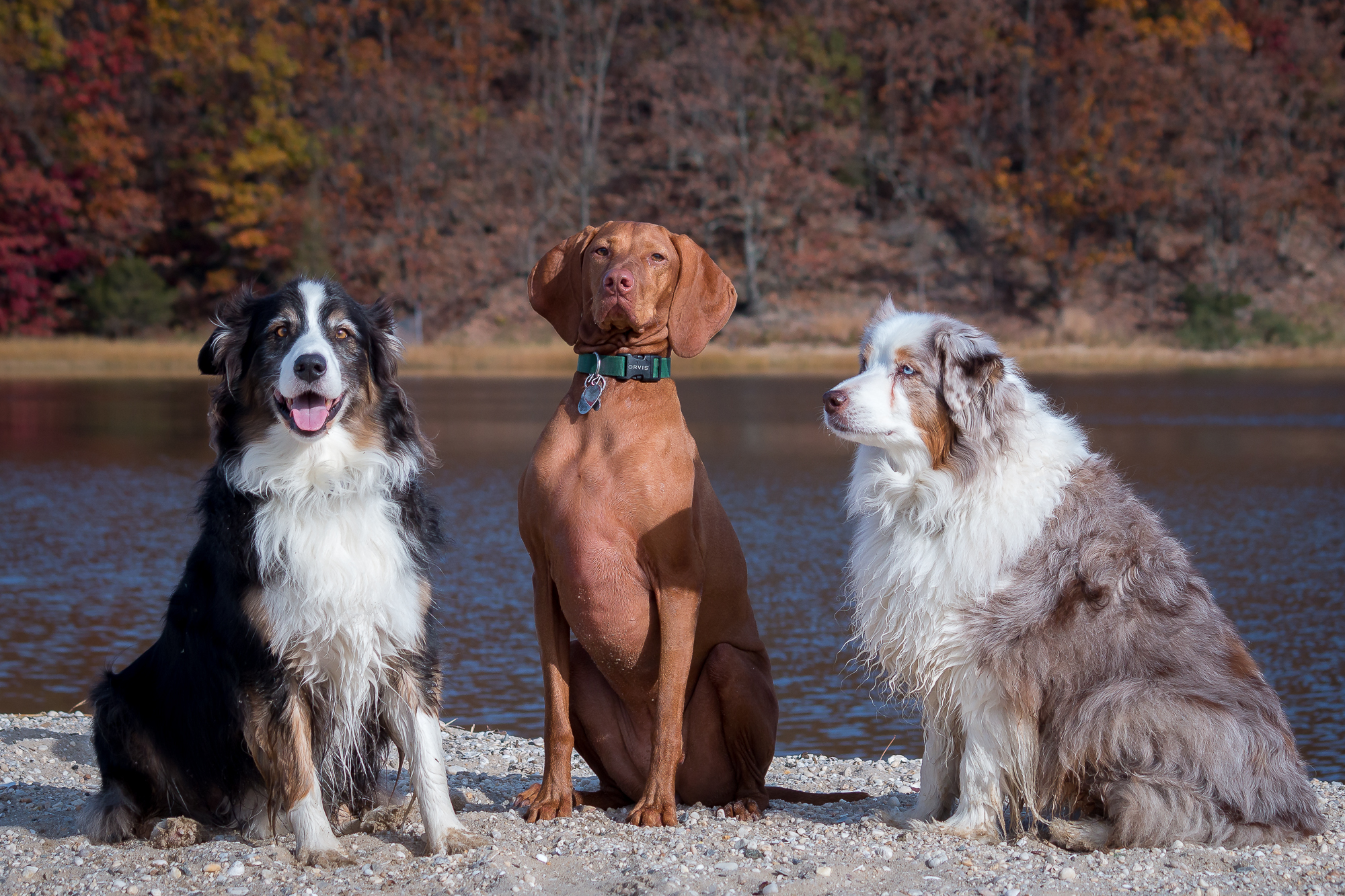 Winter Coats