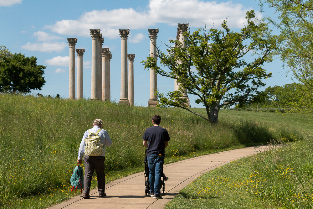 A Visit to the National Arboretum