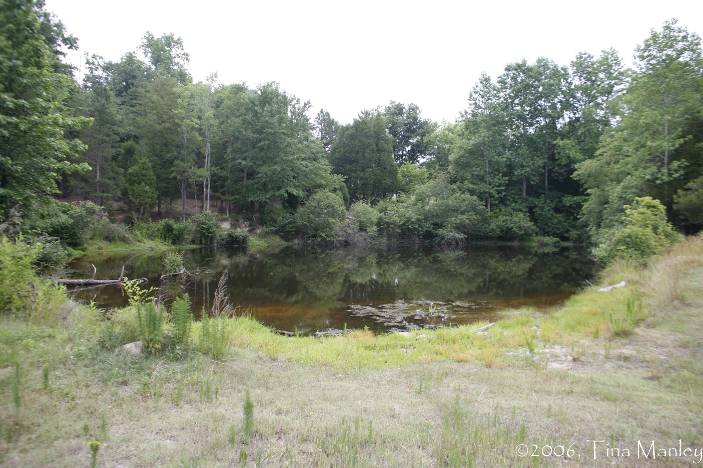 Our Pond Needs Work!