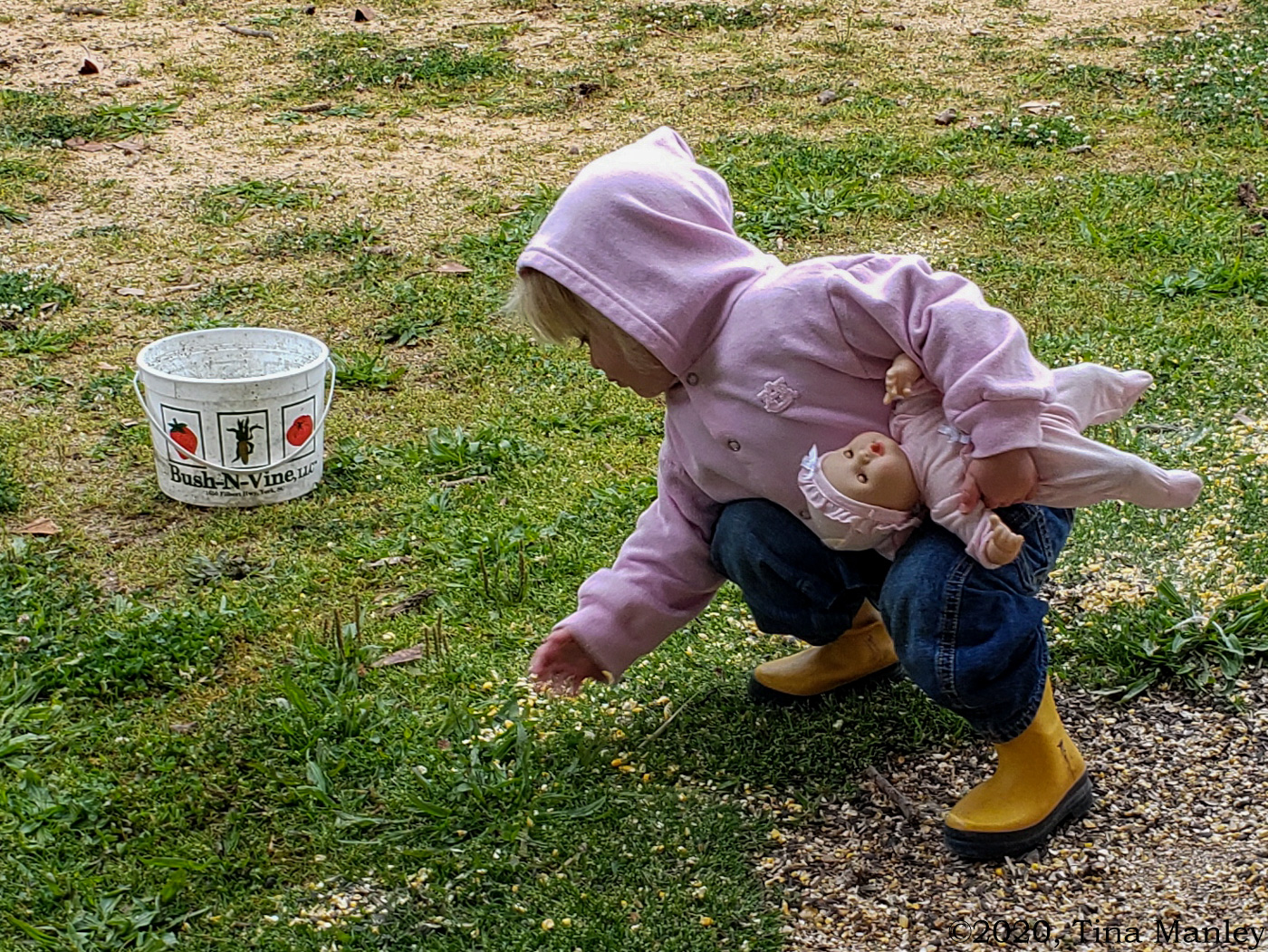 Feeding Chickens with Baby