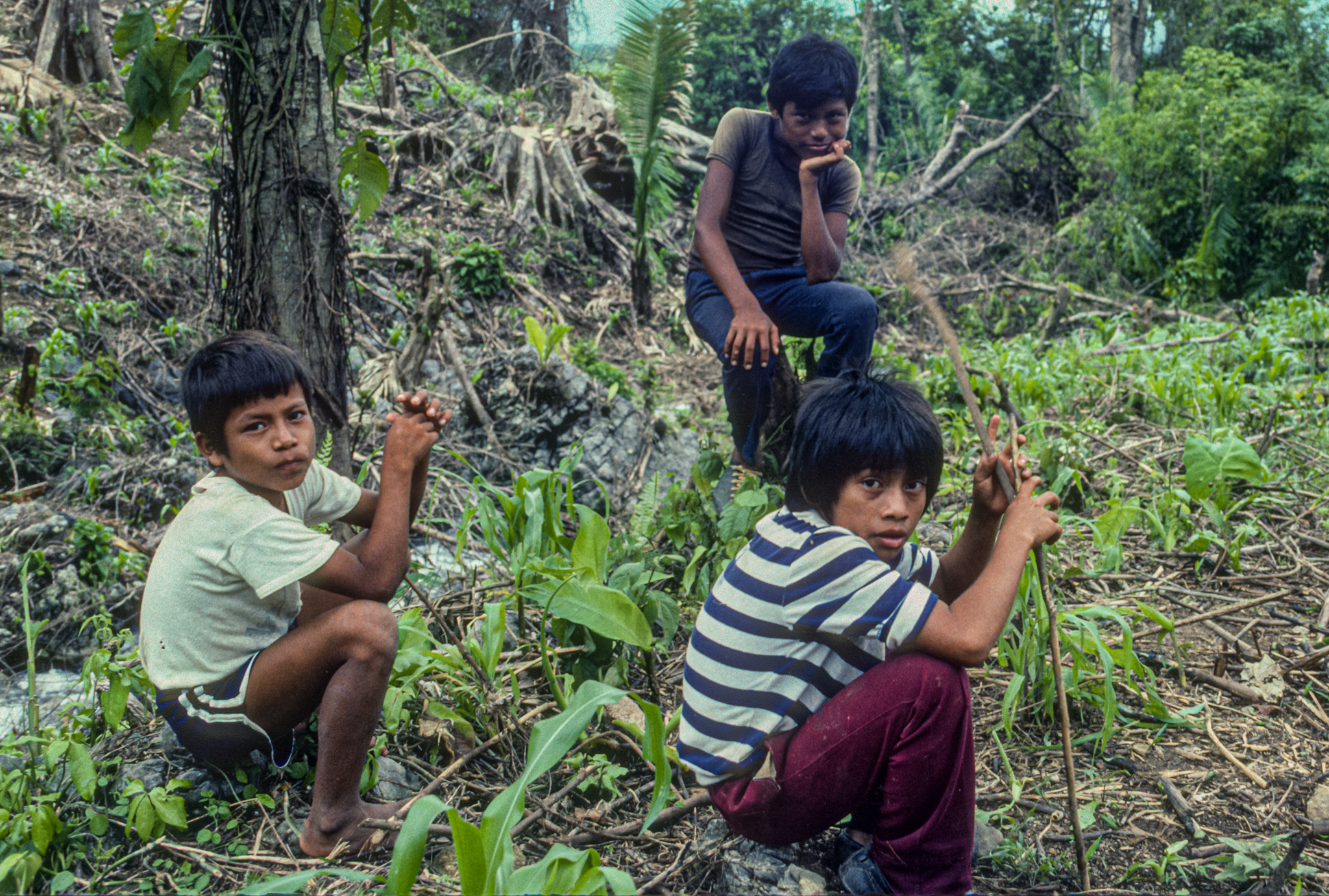 Maya Qeqchi Boys