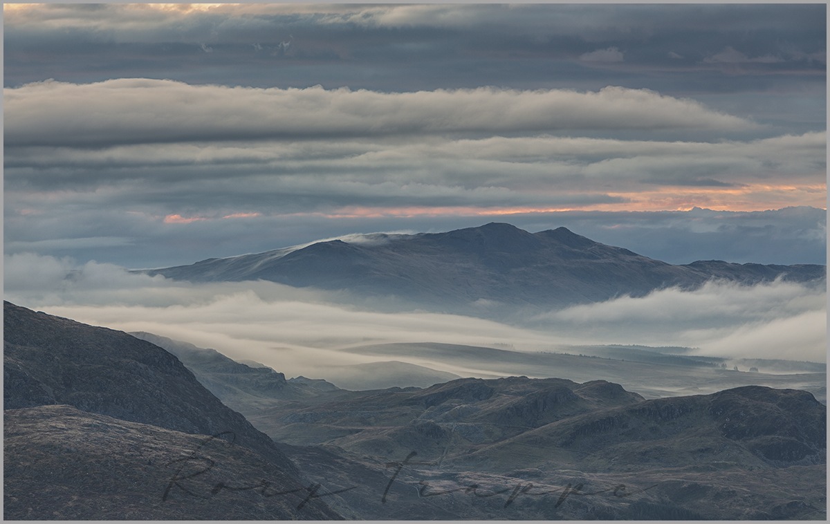 Arenig