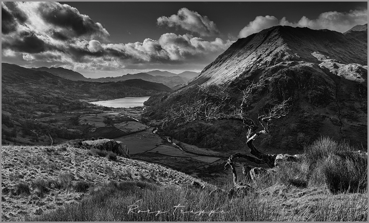 Llyn Gwynant BW.jpg