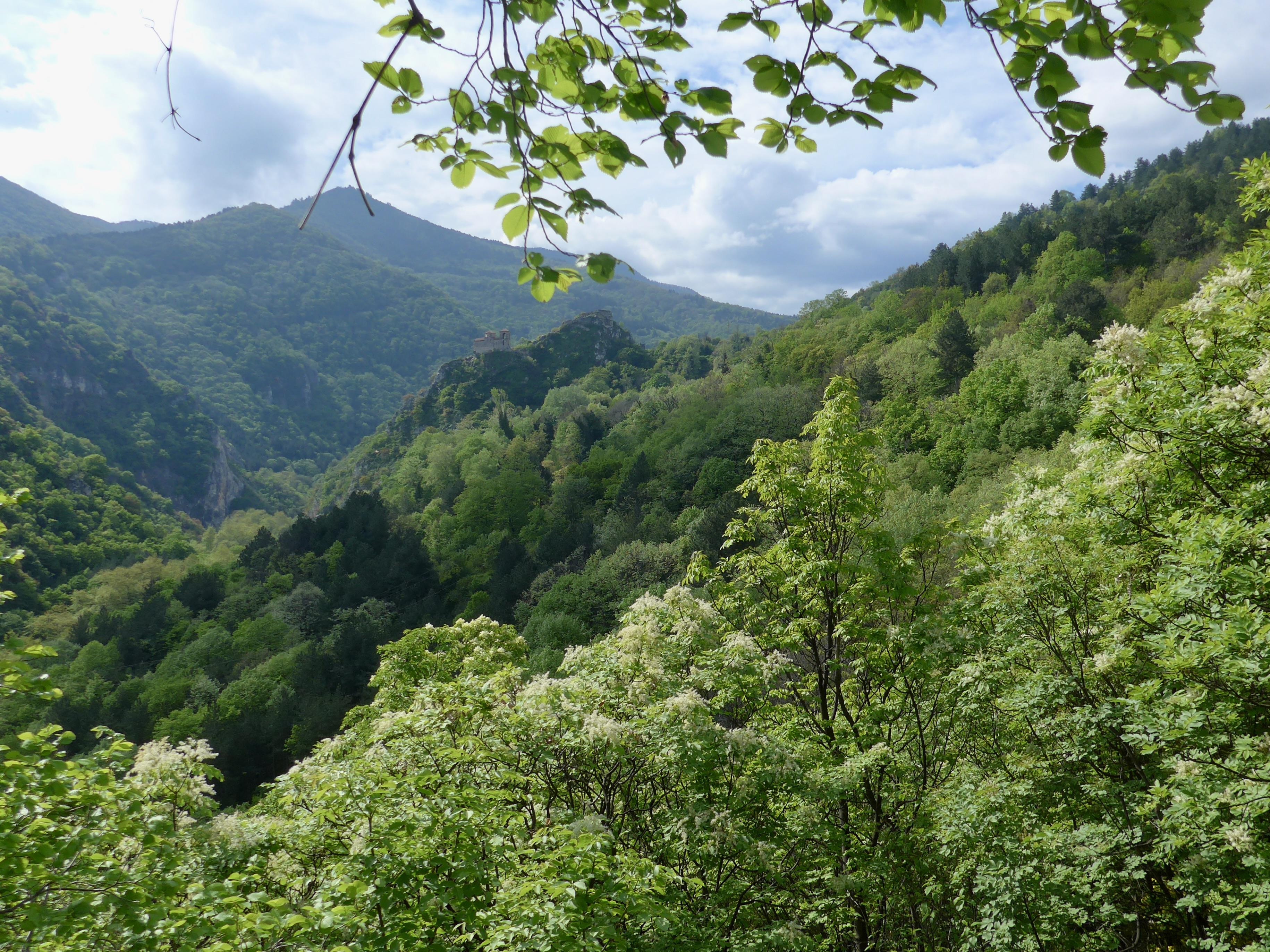 Rhodope Mountains