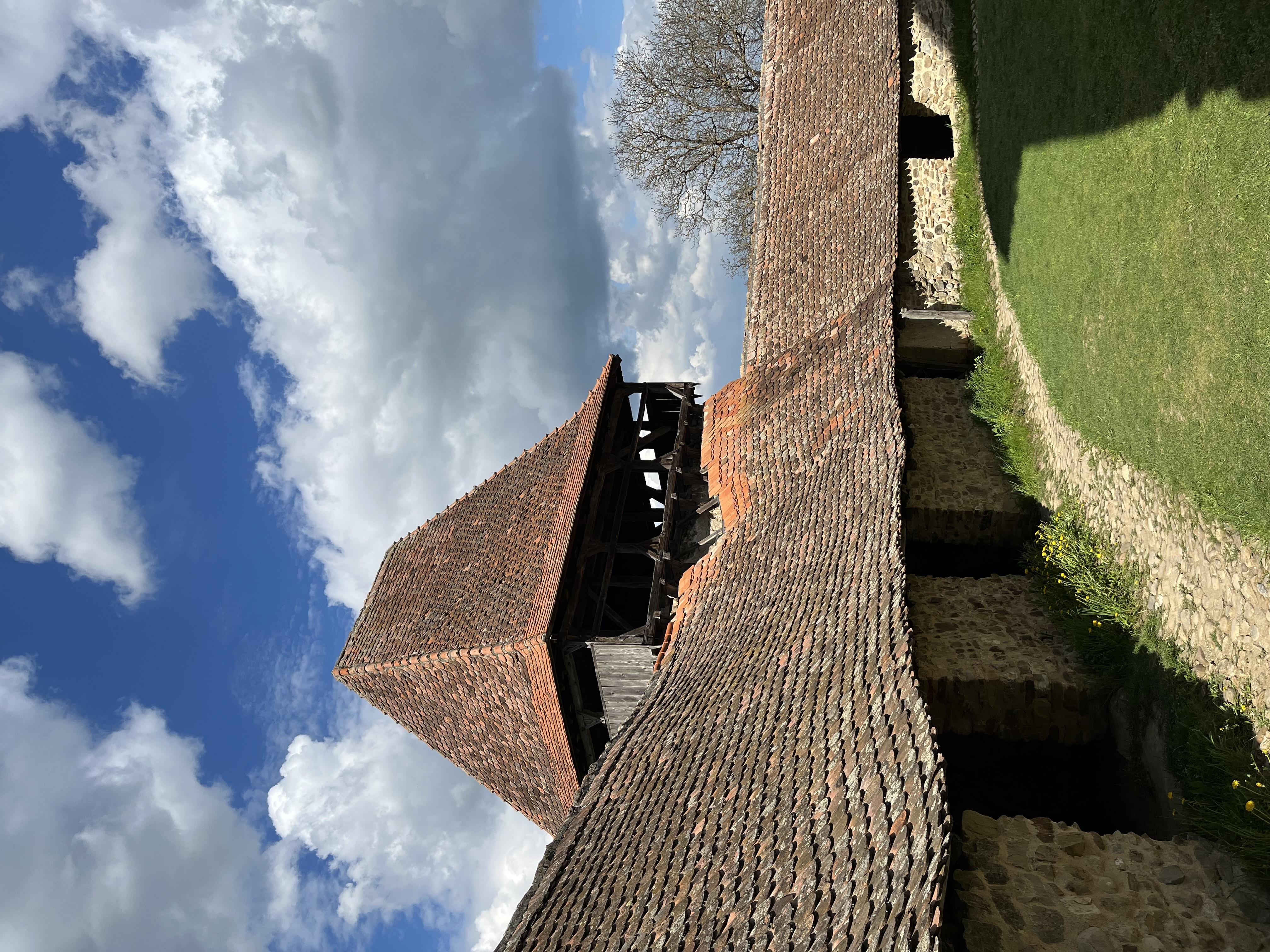 IMG_5993.jpeg