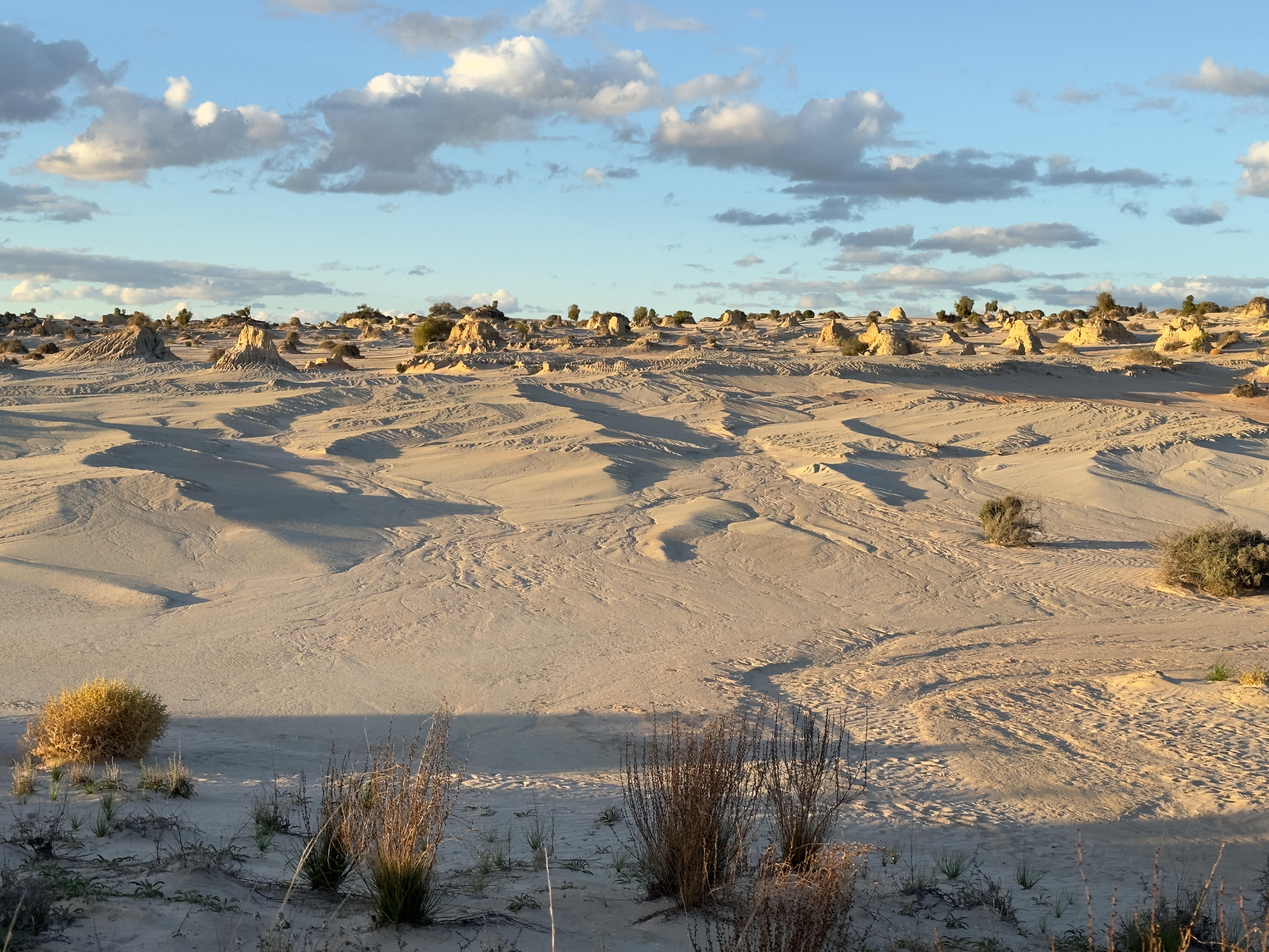 Lake Mungo - Lunettes