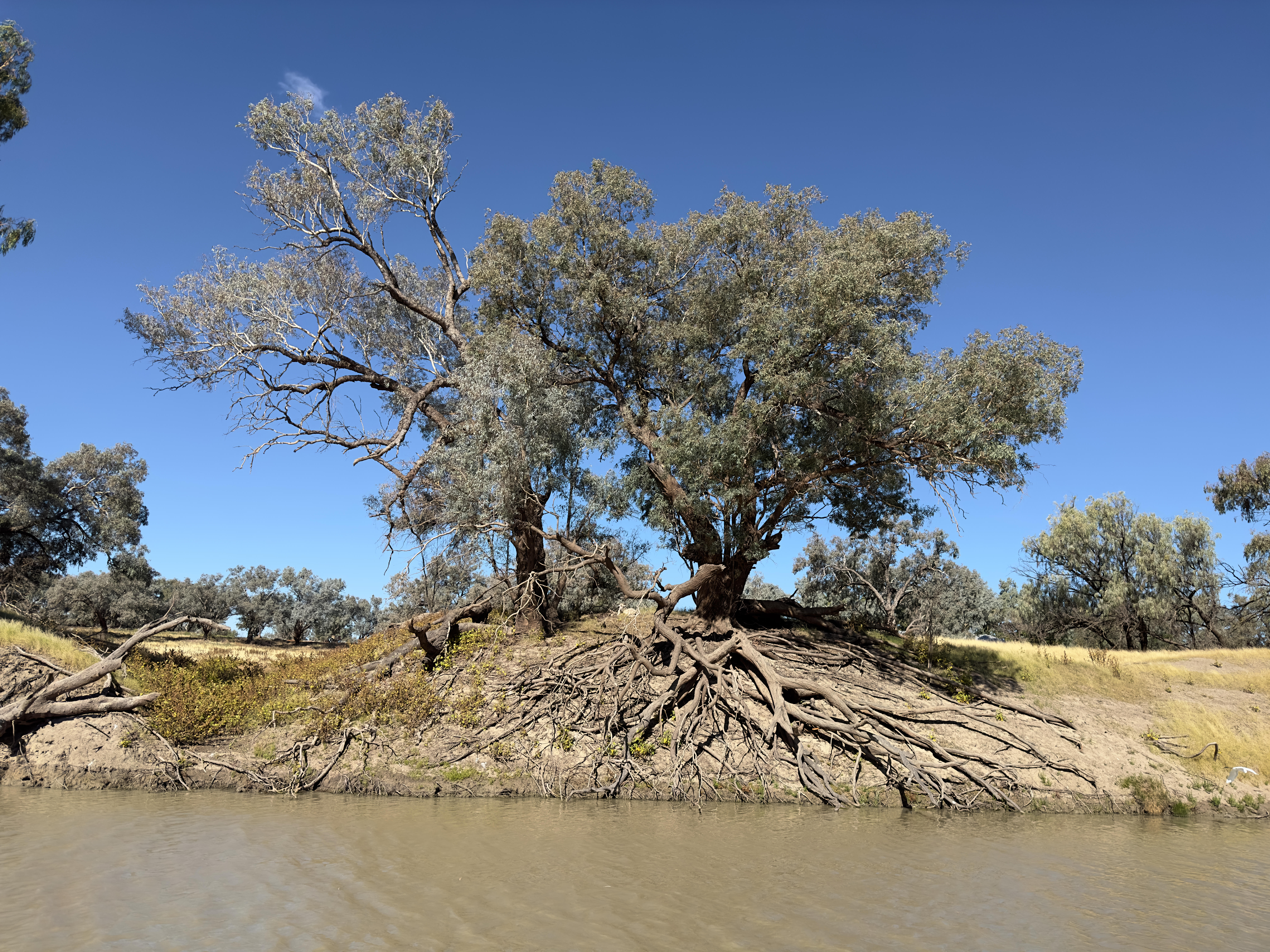 Darling River, Bourke North