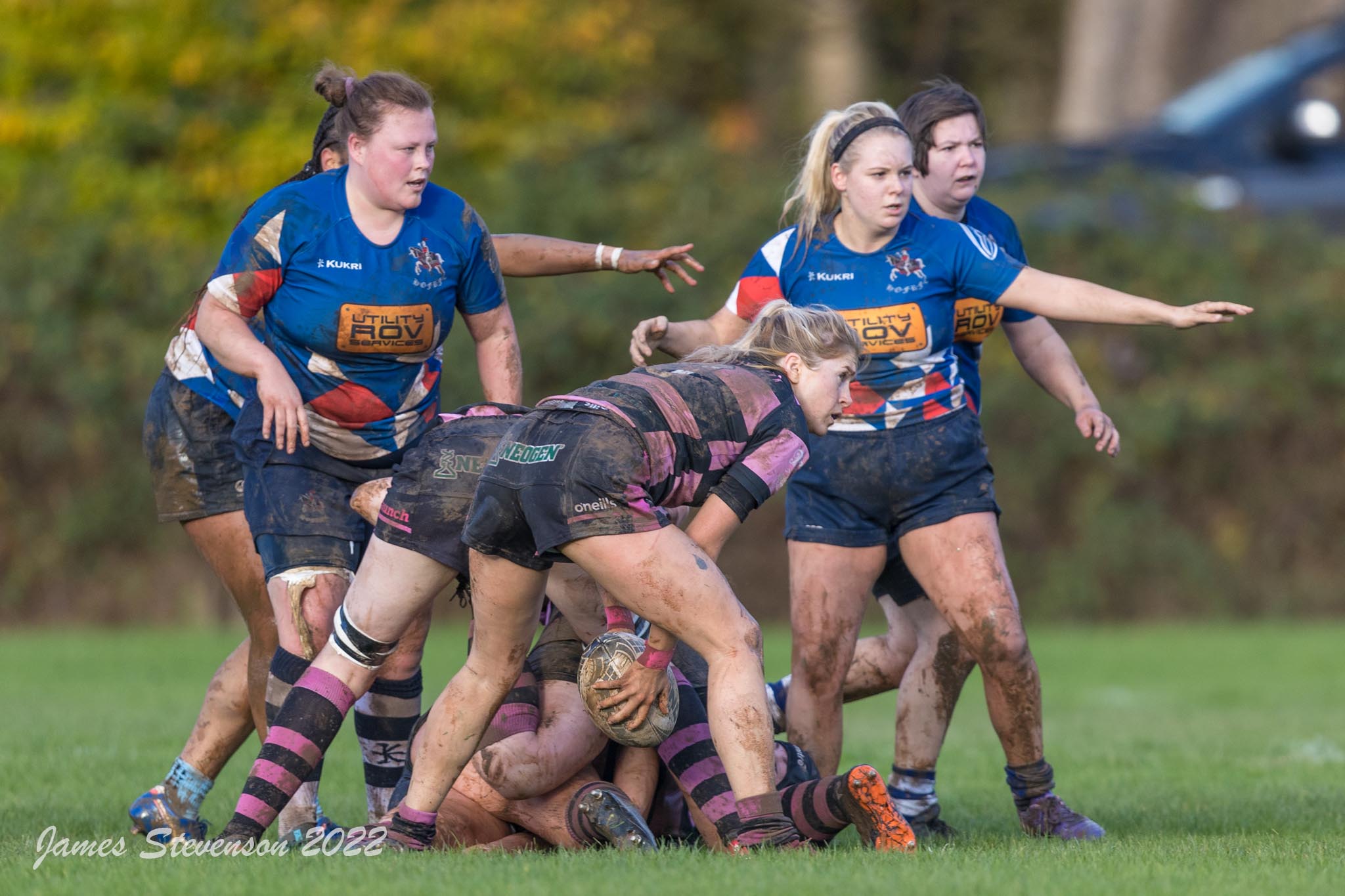 js_2022_howe_ayr_039.jpg