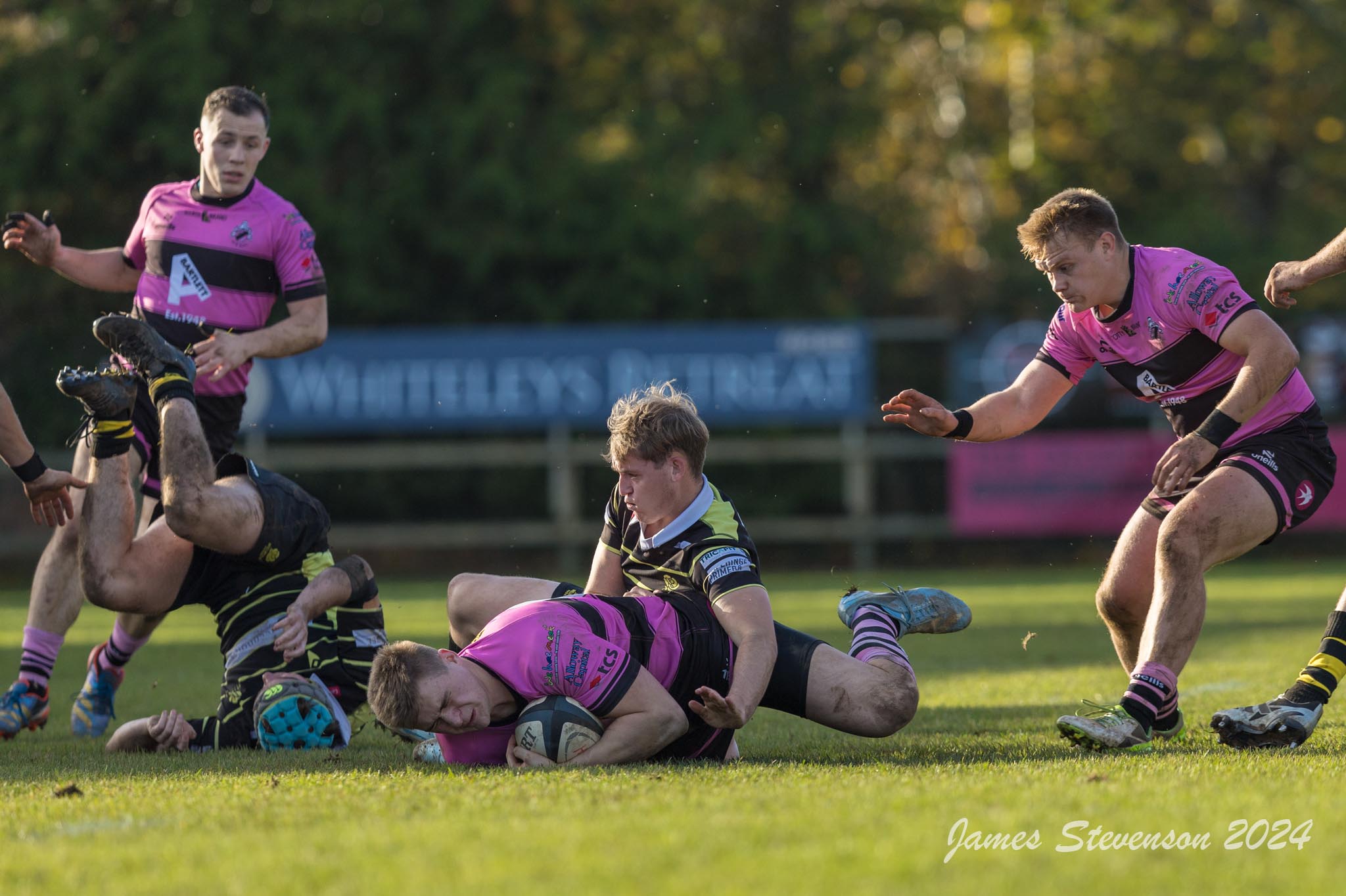 js_2023_ayr_melrose_034.jpg