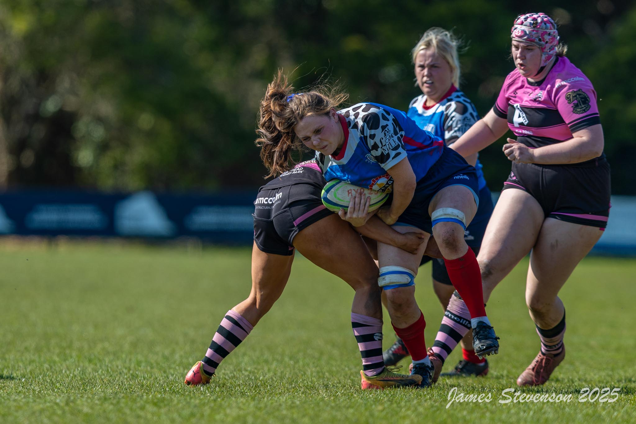 js_2025_ayr_ladies_wigtownshire_029.jpg