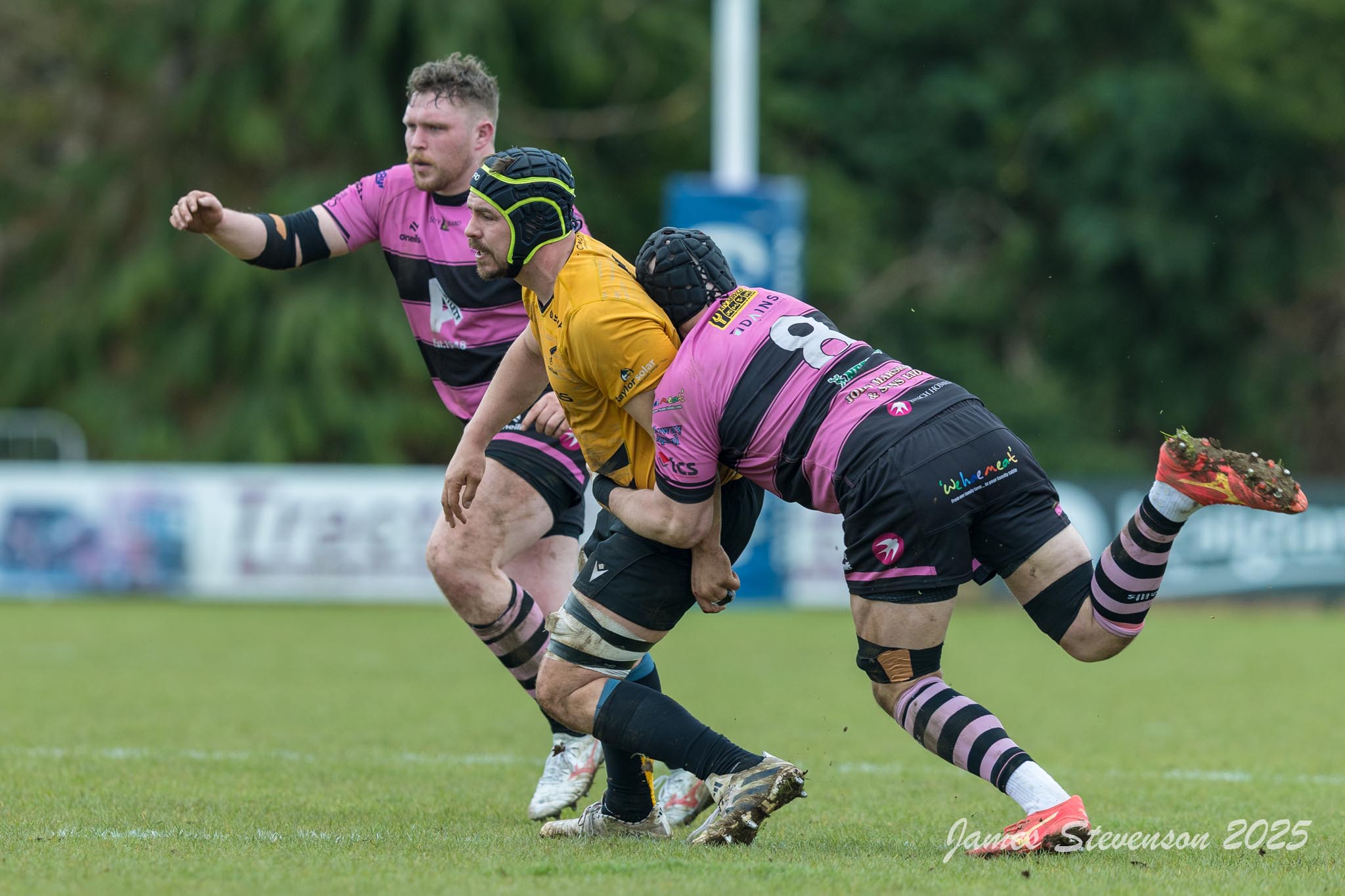 js_2025_ayr_currie_025.jpg
